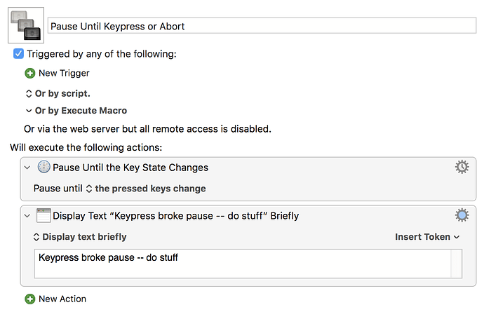 Pause Until Keypress or Abort