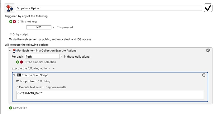 keyboard maestro execute in interactive shell