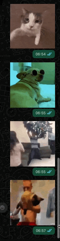 CleanShot 2025-10-12 at 06.58.02