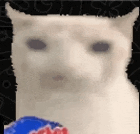 CleanShot 2025-10-12 at 01.46.35