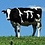 Cowpi