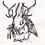 TomasWolpertinger TomasWolpertinger
